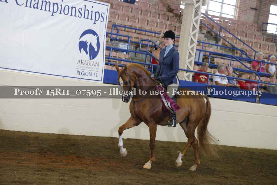 Proof 15R11_07595
