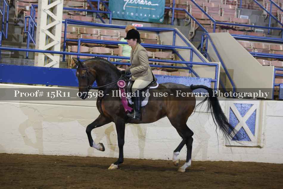 Proof 15R11_07598