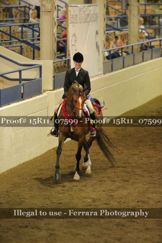 Proof 15R11_07599
