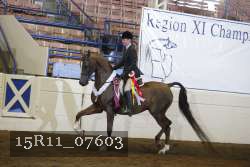 15R11_07603 proof
