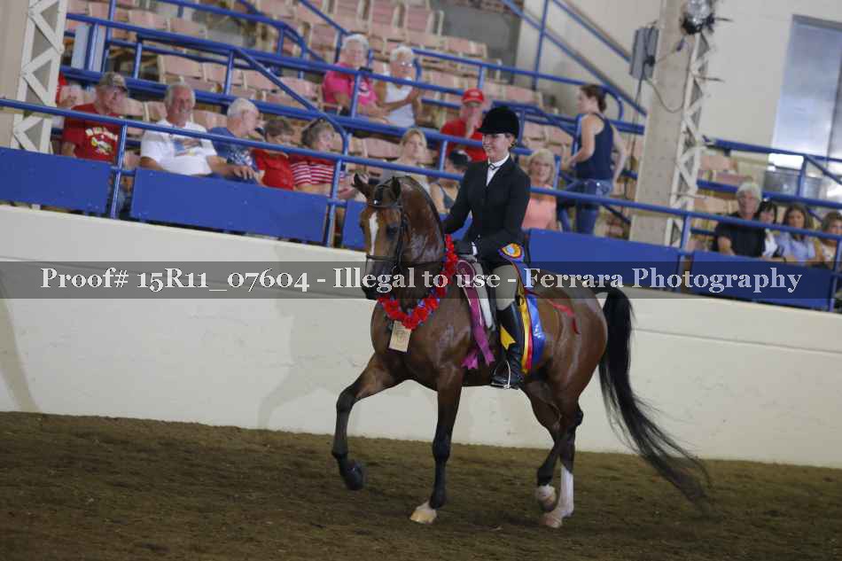 Proof 15R11_07604