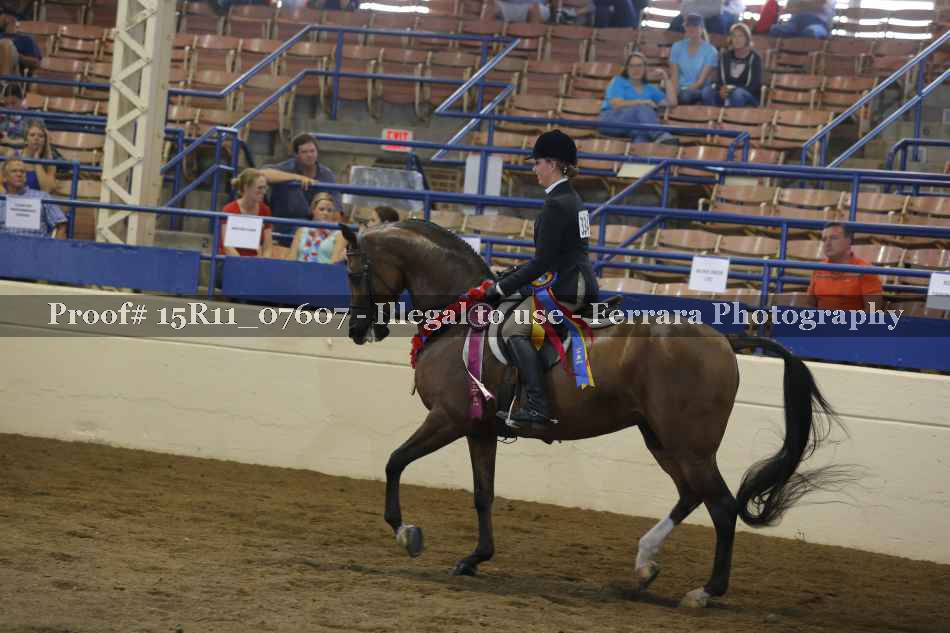 Proof 15R11_07607