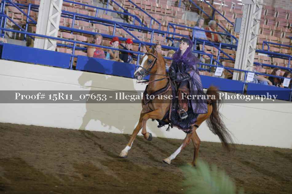 Proof 15R11_07653