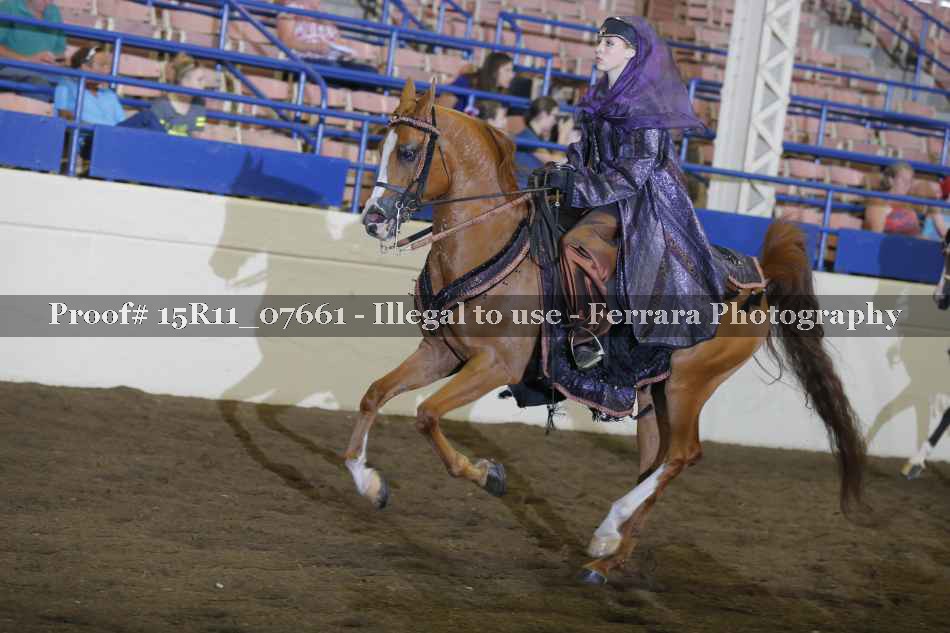 Proof 15R11_07661