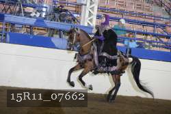 15R11_07662 proof