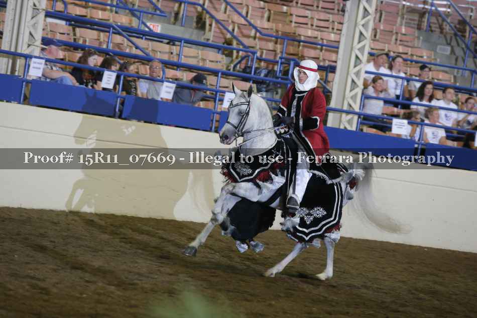 Proof 15R11_07669