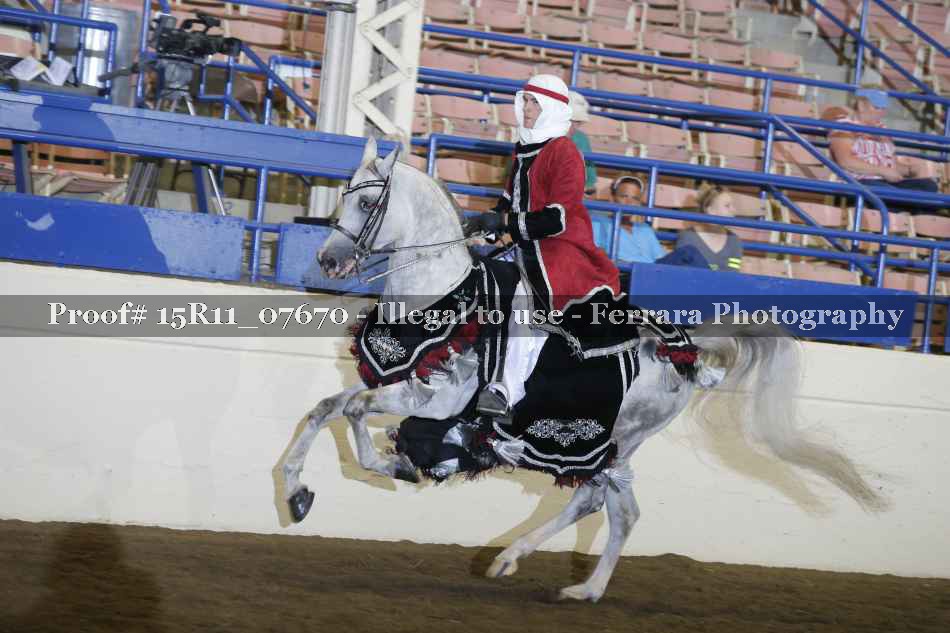 Proof 15R11_07670