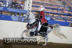 15R11_07670 proof