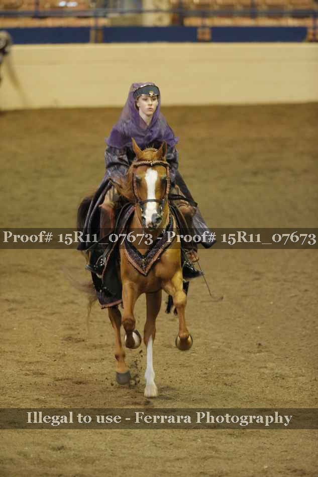 Proof 15R11_07673