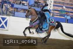 15R11_07683 proof