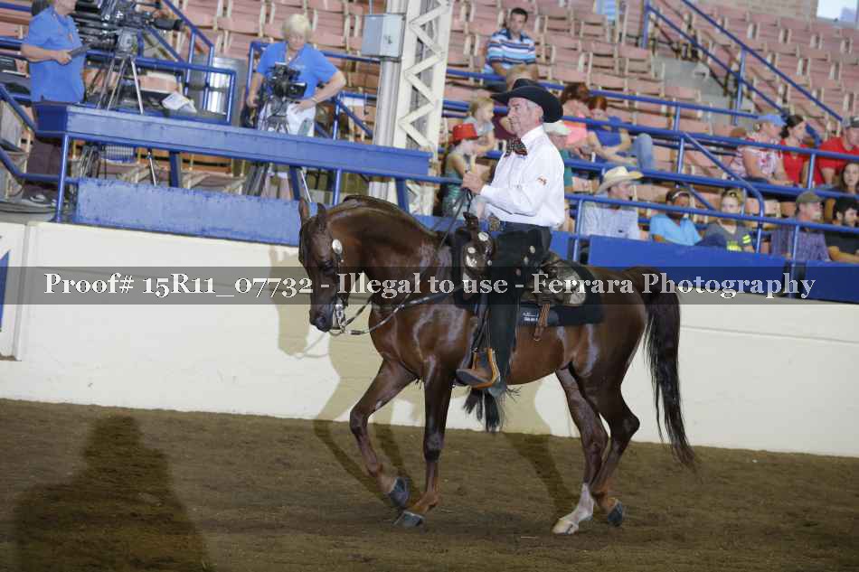 Proof 15R11_07732