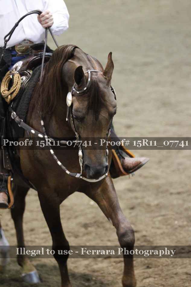Proof 15R11_07741