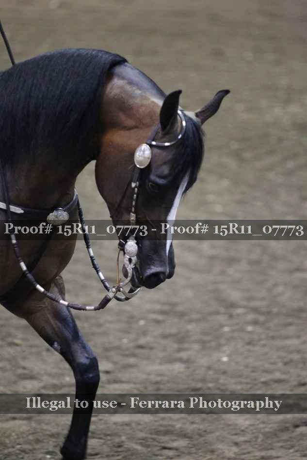 Proof 15R11_07773