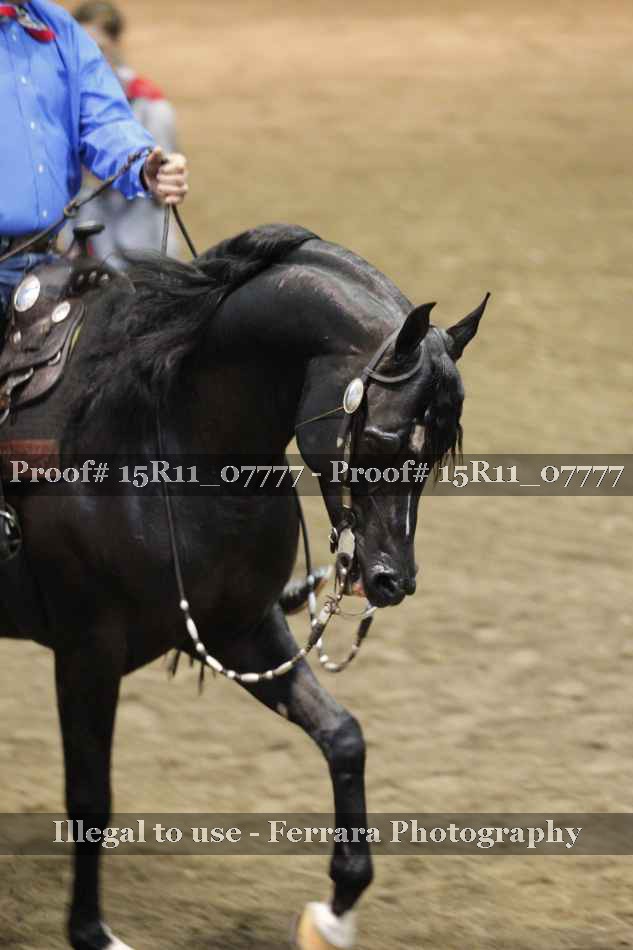 Proof 15R11_07777