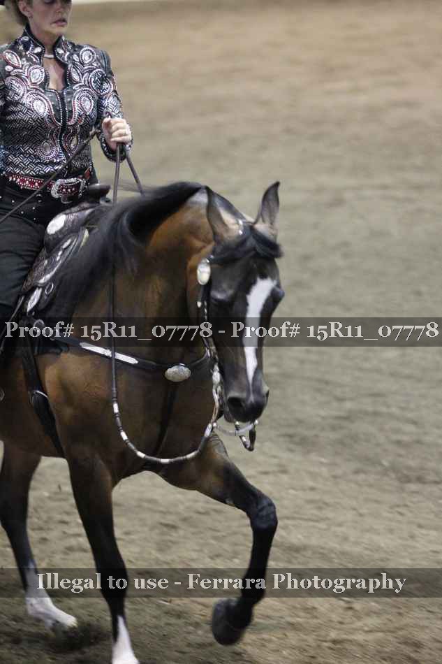 Proof 15R11_07778