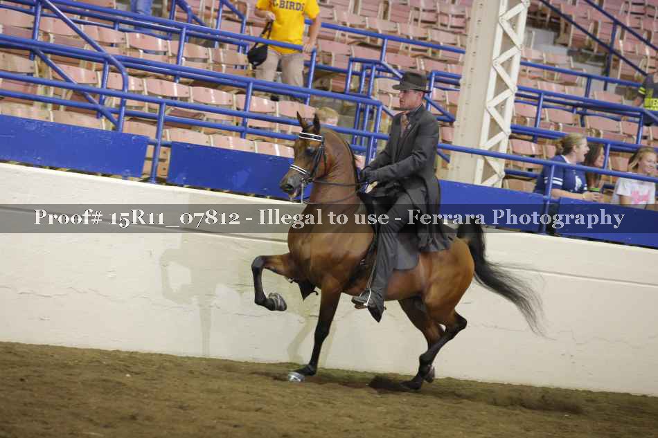 Proof 15R11_07812
