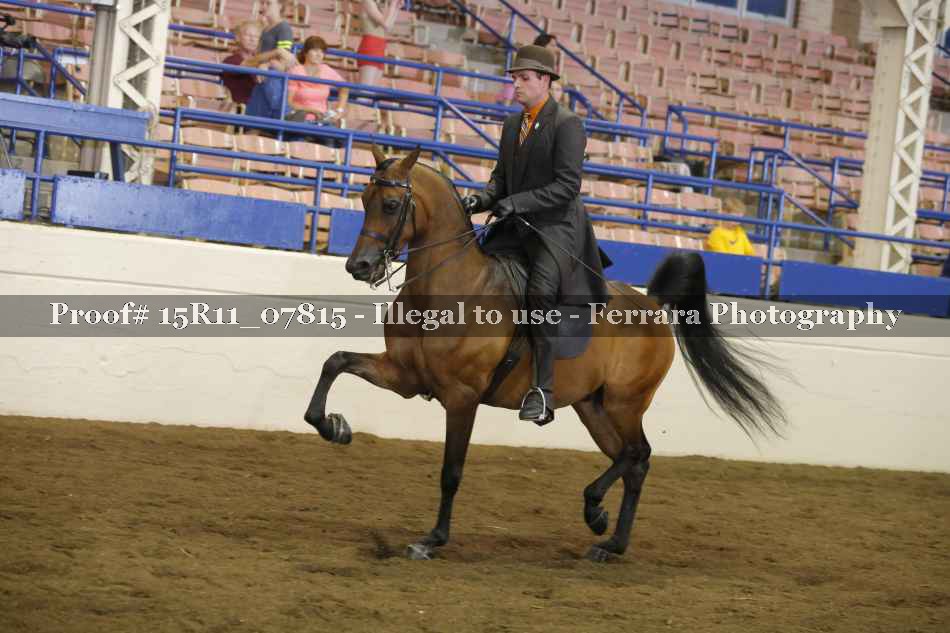 Proof 15R11_07815
