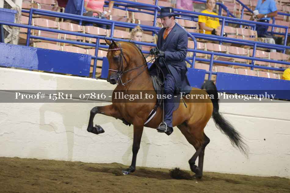 Proof 15R11_07816