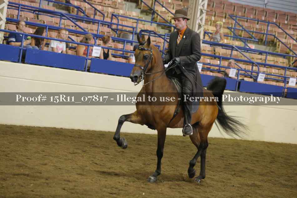 Proof 15R11_07817