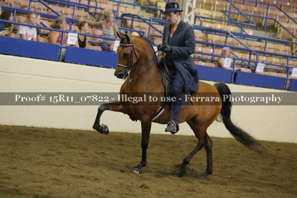 Proof 15R11_07822