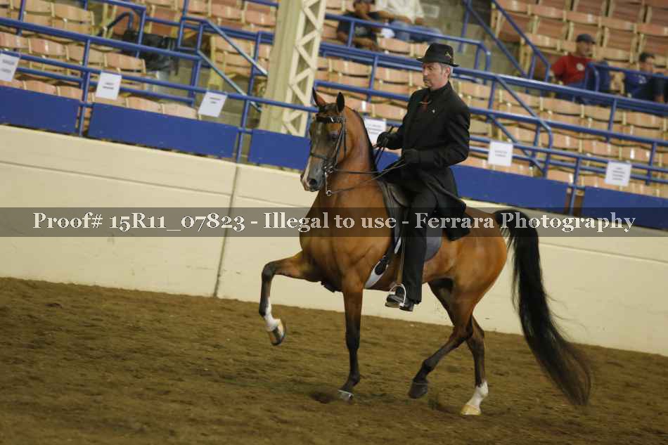 Proof 15R11_07823