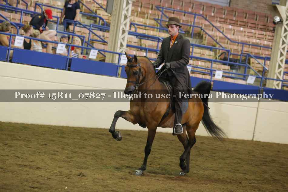 Proof 15R11_07827