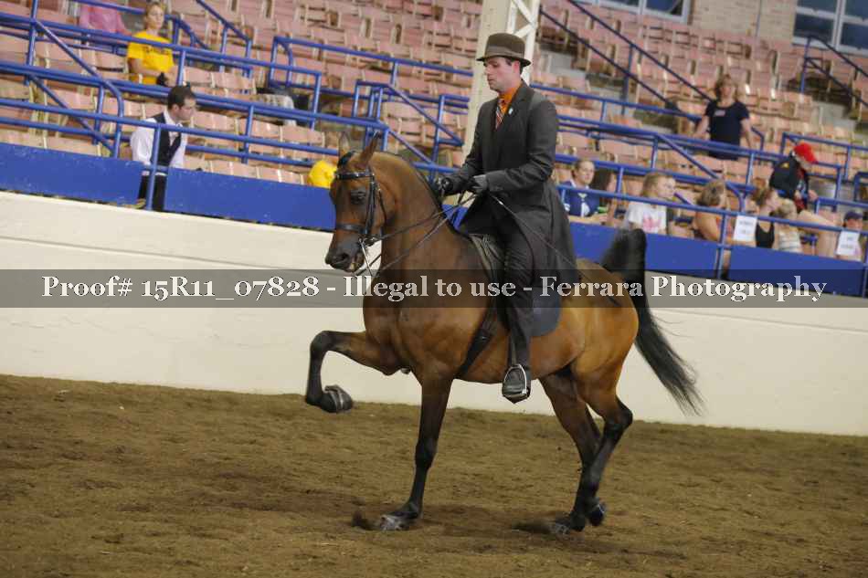Proof 15R11_07828