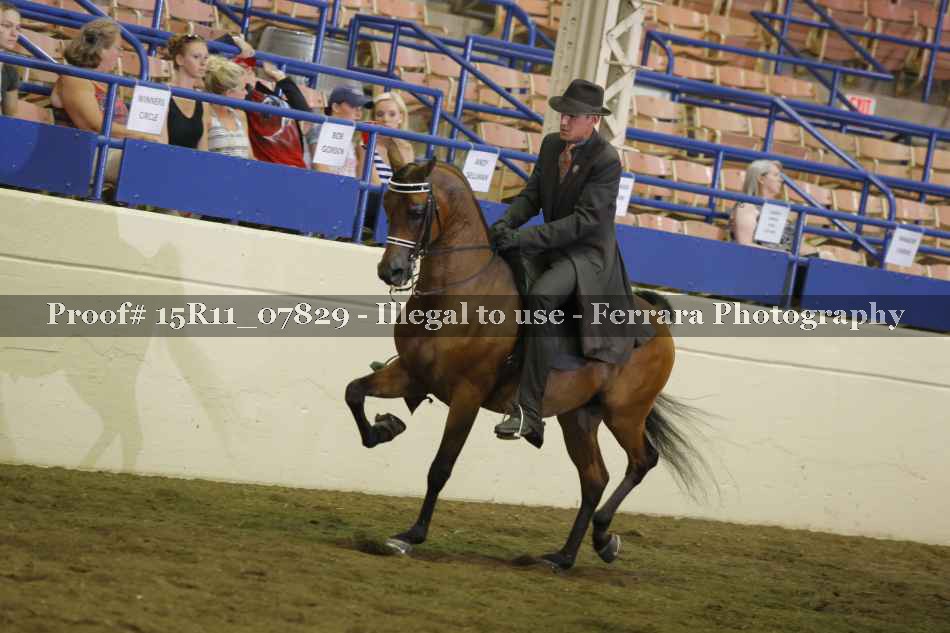 Proof 15R11_07829