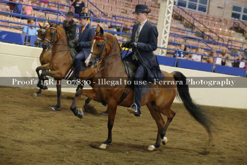 Proof 15R11_07830