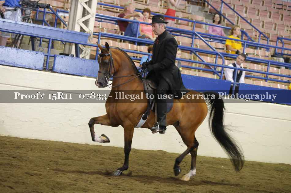Proof 15R11_07833