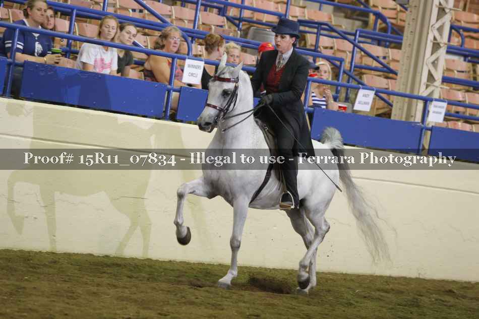 Proof 15R11_07834