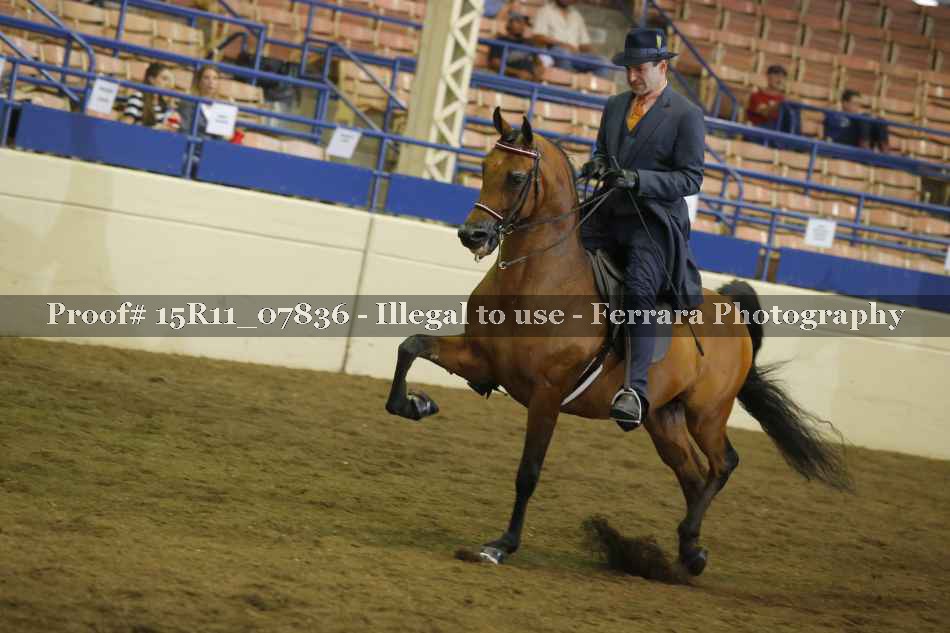Proof 15R11_07836