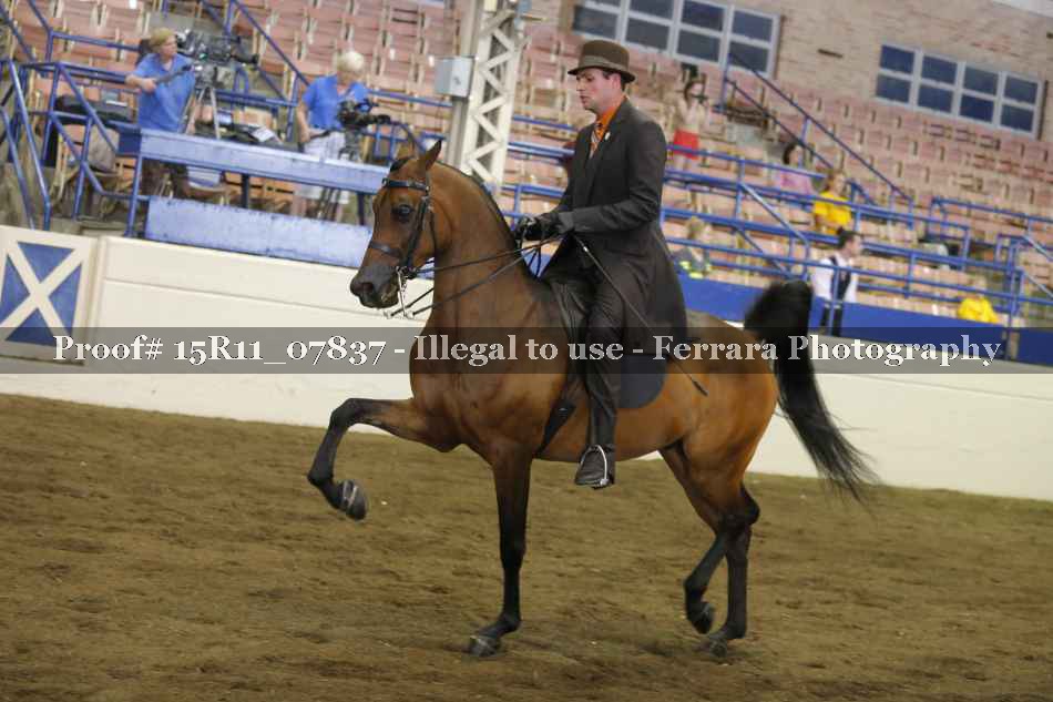 Proof 15R11_07837