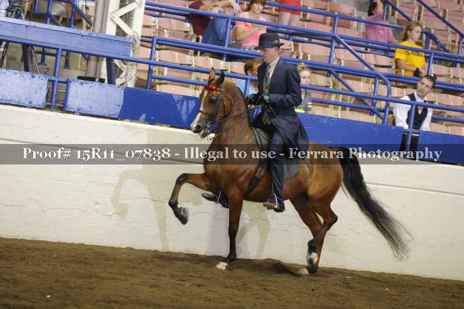 Proof 15R11_07838