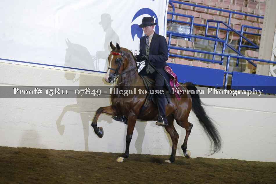 Proof 15R11_07849