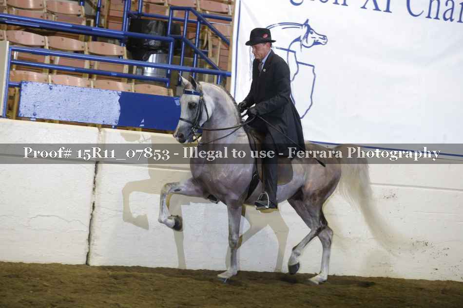 Proof 15R11_07853