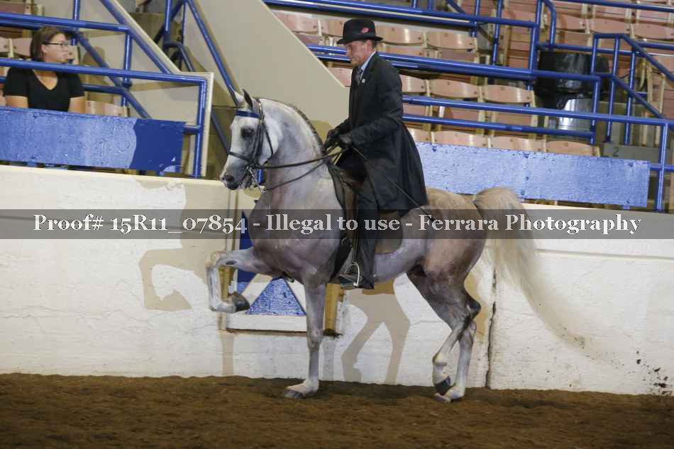 Proof 15R11_07854