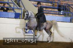 15R11_07854 proof