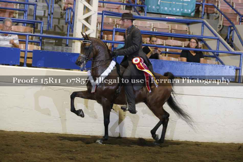 Proof 15R11_07857
