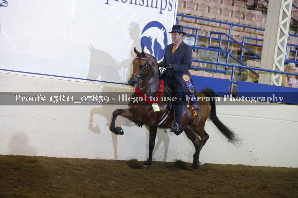Proof 15R11_07859