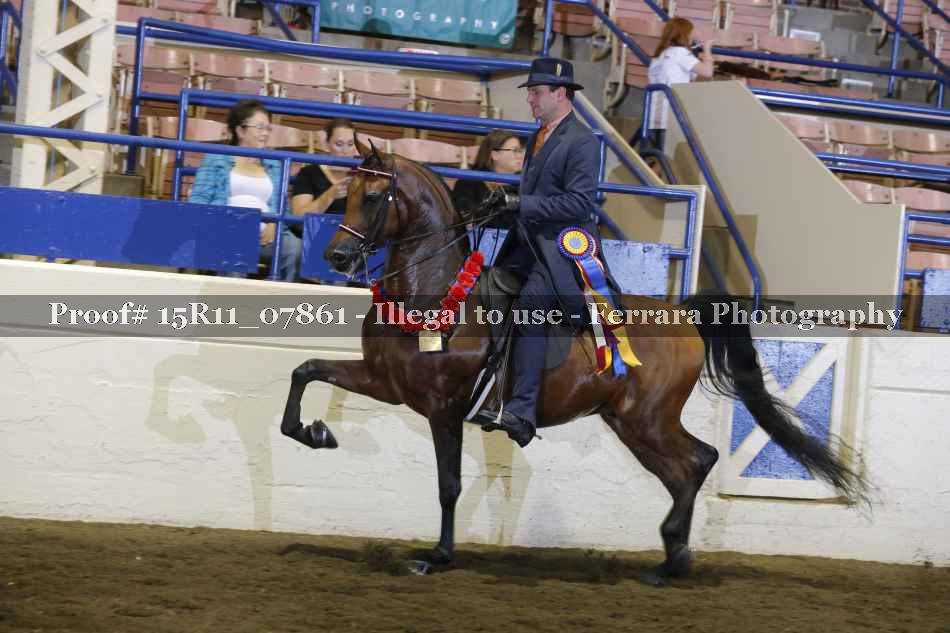 Proof 15R11_07861