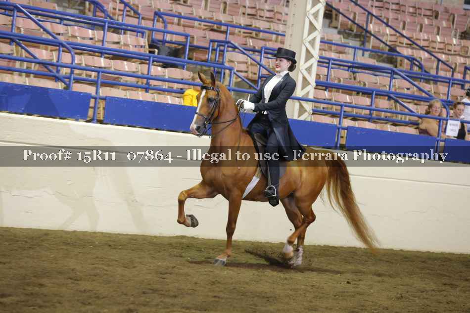 Proof 15R11_07864