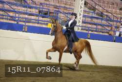 15R11_07864 proof