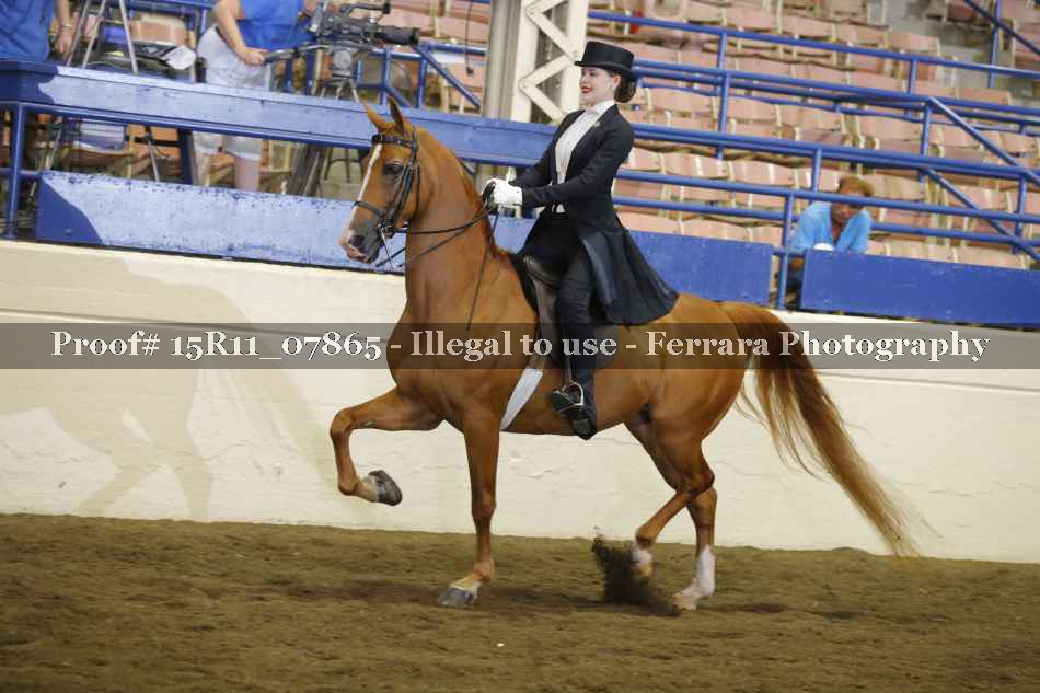 Proof 15R11_07865
