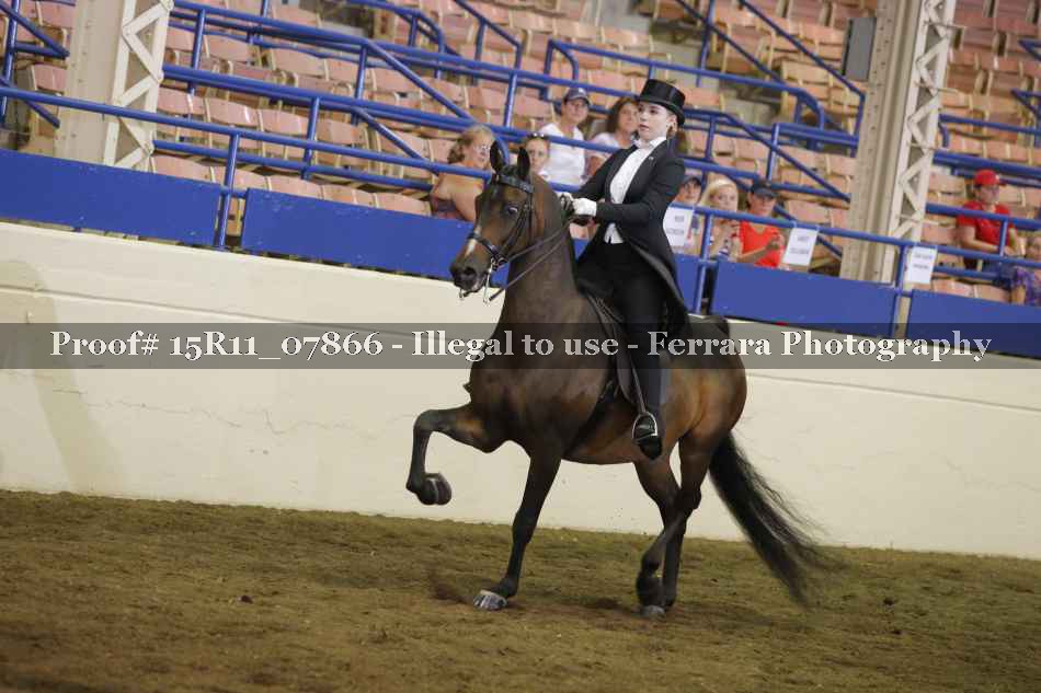Proof 15R11_07866