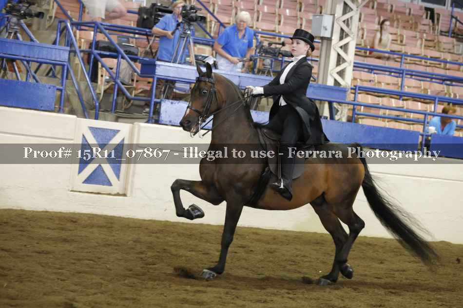 Proof 15R11_07867