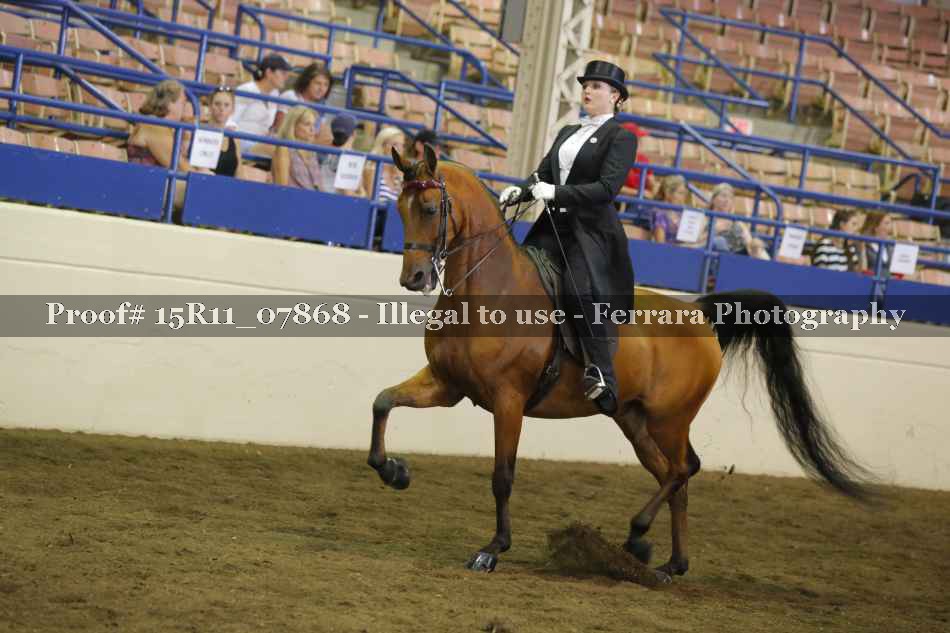 Proof 15R11_07868