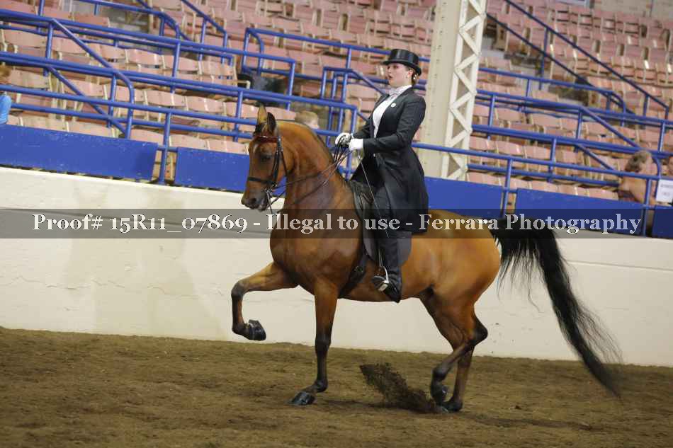 Proof 15R11_07869