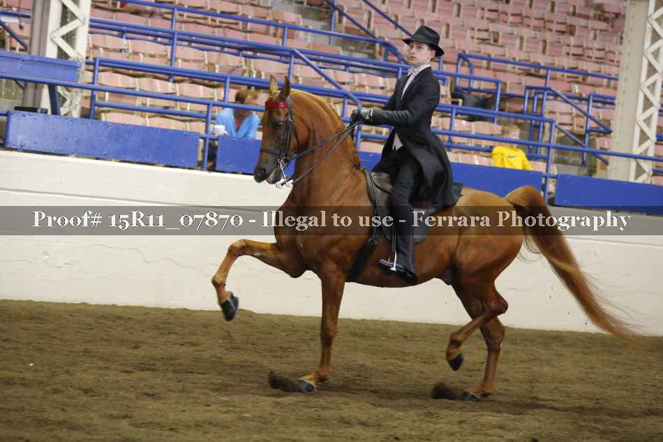 Proof 15R11_07870