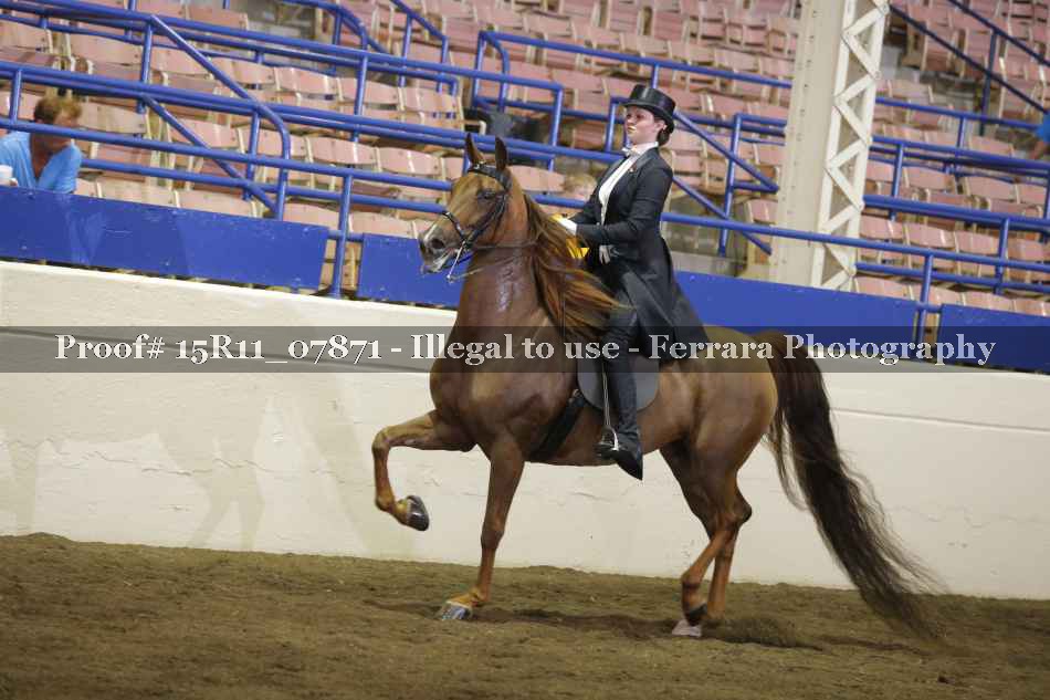 Proof 15R11_07871